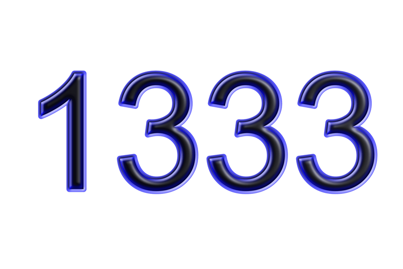 Nummer 1333 auf weißem Hintergrund