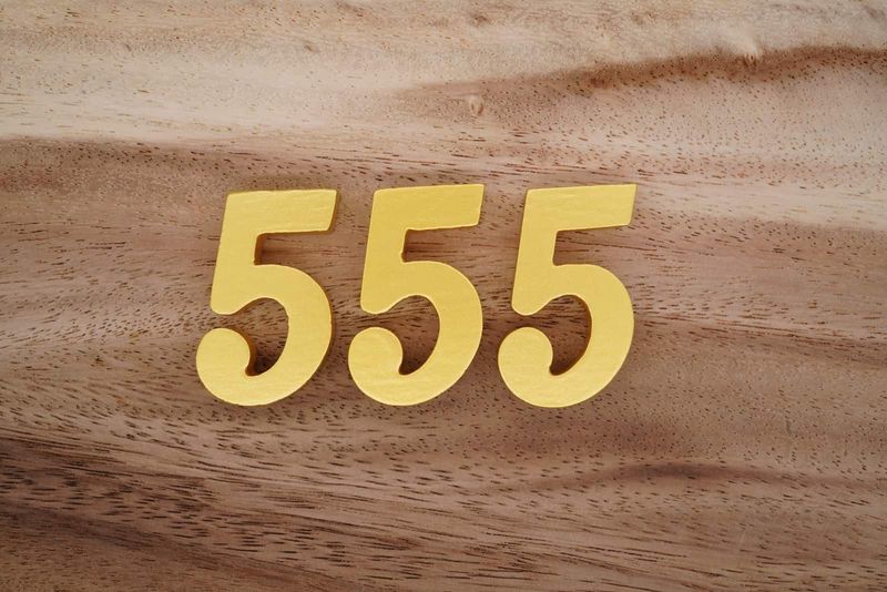 Nummer 555 auf Holzsockel