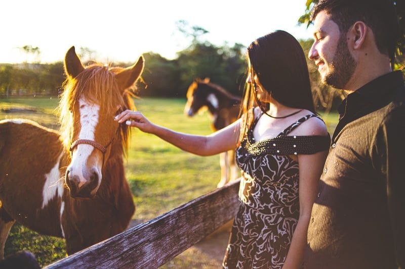Eine Frau berührt ein Pferd, während ein Mann neben ihr steht