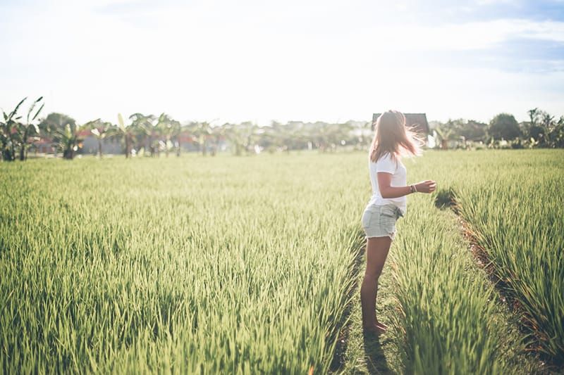 Frau steht tagsüber auf grünen Reisfeldern