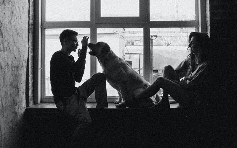 Ein Mann, eine Frau und ein Hund saßen in Schwarz-Weiß-Farben an den Fenstern