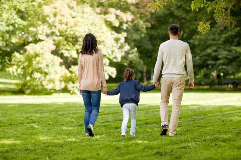 Rückansicht von Eltern, die ihre Tochter halten und auf der Wiese spazieren gehen