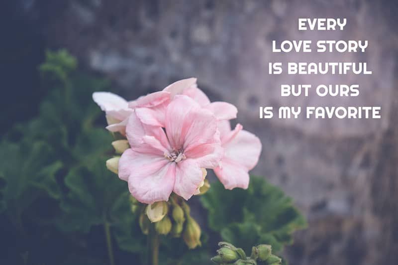 Kurze Zitate über die Liebe 270+ liebevolle Zeilen