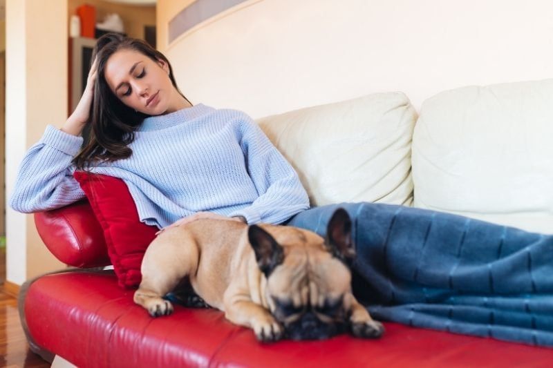 Junge Frau streichelt eine französische Bulldogge, die neben der Frau auf dem Sofa ruht