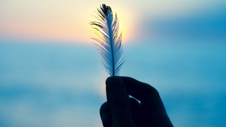 Bedeutung der blauen Feder: 10 spirituelle Gründe, warum Sie eine gefunden haben