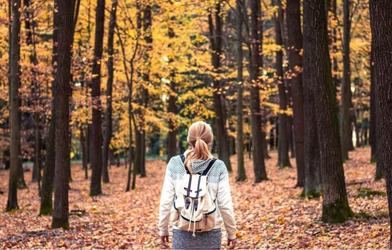 Frau mit Rucksack spaziert im Herbst im Wald
