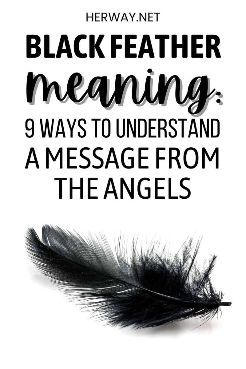 Schwarze Feder bedeutet 9 Möglichkeiten, eine Botschaft der Engel auf Pinterest zu verstehen