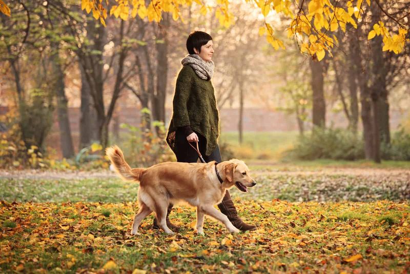 Mädchen, das mit ihrem Hund im Park spazieren geht
