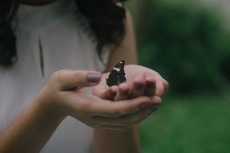 schwarzer Schmetterling auf den Handflächen der Frau