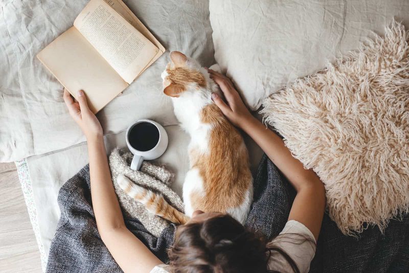 Frau liest Buch mit Katze im Schoß