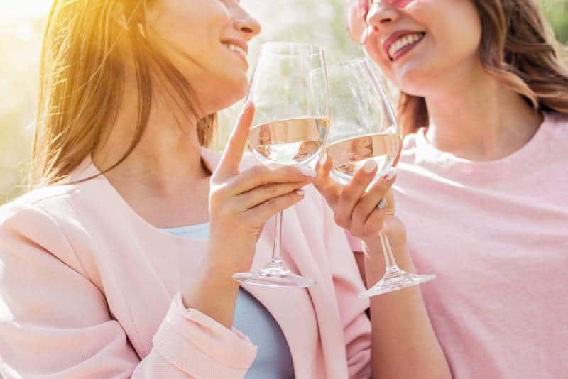 Nahaufnahme von zwei glücklichen Frauen, die mit Gläsern Weißwein jubeln und lächeln, während sie ein Picknick machen