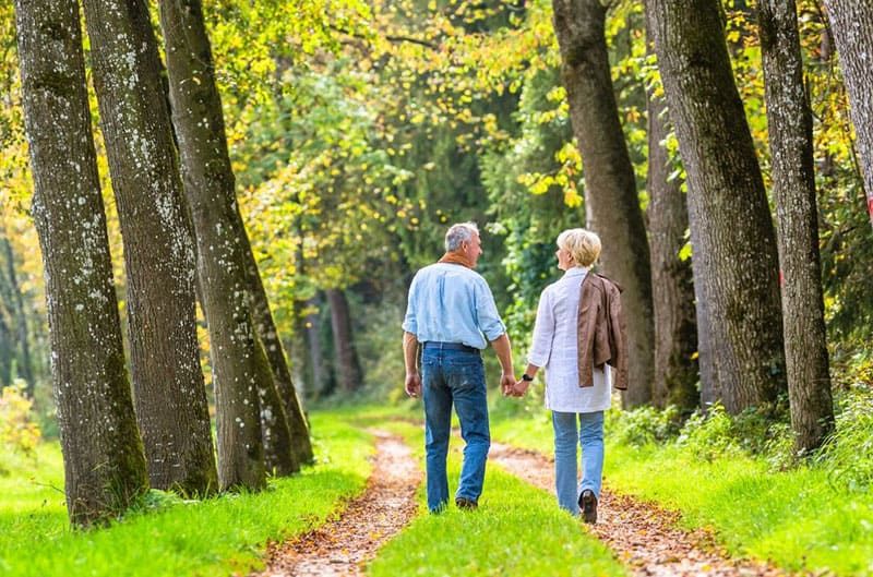 Erwachsenes Paar geht Hand in Hand mitten im Wald