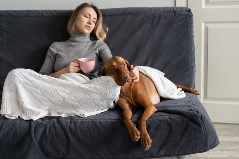 traurige Frau, die mit ihrem Hund auf dem Sofa sitzt